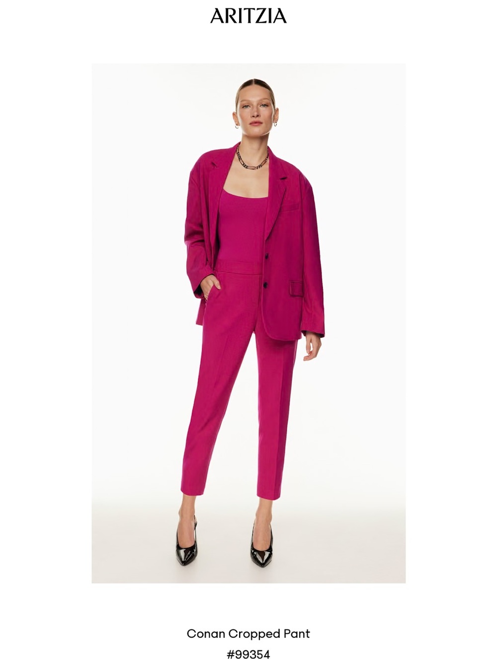 Aritzia | Babaton | Conan Pant